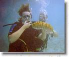 2 * Dana holding a sea cucumber -- our first deep sea diving lesson * 811 x 662 * (61KB)
